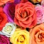 Love Blooms, Roses на телефон