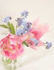 картинка розово-голубые цветы - , для мобильного телефона