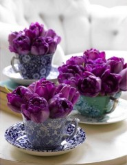 картинка сиреневые тюльпаны в чашках - , для мобильного телефона