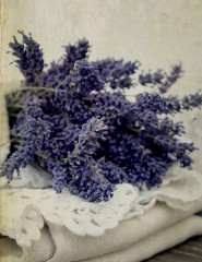  , lavender - ,   