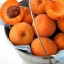 apricots,     