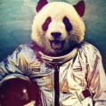 картинки Панда космонавт для телефона