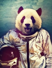 картинка Панда космонавт - , для мобильного телефона