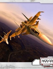 картинка Игра Ace Combat Zero - , для мобильного телефона