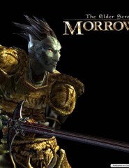  Morrowind - 3D RPG - ,   
