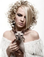 картинка Девушка с кошкой - , для мобильного телефона
