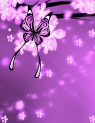  Butterfly - ,   