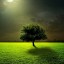 дерево, луна, зеленая трава на телефон