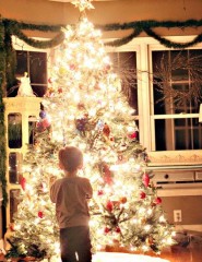  , Christmas tree - ,   