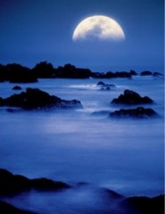  Under Moonlight - ,   