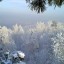 Снег на деревьях на телефон