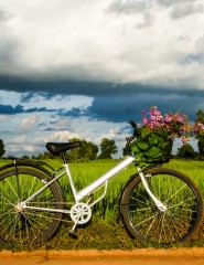 картинка велосипед, зеленая трава - , для мобильного телефона