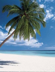 картинка Морское небо - Райский остров, для мобильного телефона
