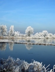 картинка Зима2 - , для мобильного телефона