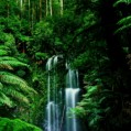 картинка для сотового телефона "тропический водопад"