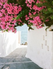  , beautiful Greece - ,   