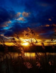  Beautiful_Sunset - ,   