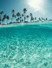картинка тропики, синий океан - , для мобильного телефона