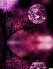 картинка Черно-фиолетовая луна.. - Фиолетовая луна, в окружении воды. Темное дерево распустившее свои ветки... Необычно и таинствено..., для мобильного телефона