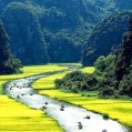 картинки река, зелень, Вьетнам для телефона