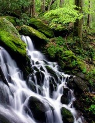 картинка водопад в парке, США - , для мобильного телефона