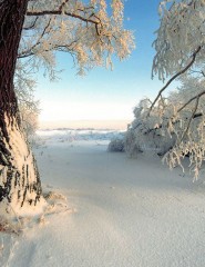 картинка Зима - , для мобильного телефона
