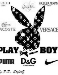  play boy -   playboy,       ,   