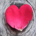 розовое сердце-лепесток