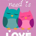 Owl You Need Is Love, 
