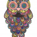 owl, , 