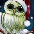 Christmas Owl, 