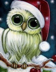  Christmas Owl,  - ,   