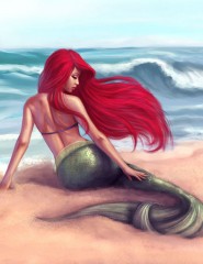  Ariel - ,   