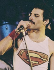  Freddie Mercury,  - ,   