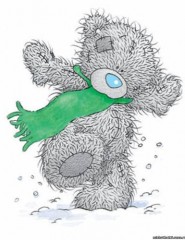 картинка Тедди с зеленым шарфом - мишка Тедди с зеленым шарфом, для мобильного телефона