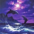 картинки дельфины в закате для телефона