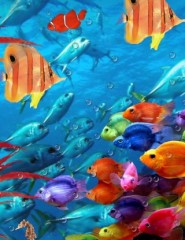 картинка разноцветные рыбки - , для мобильного телефона