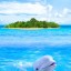 дельфин в море на телефон